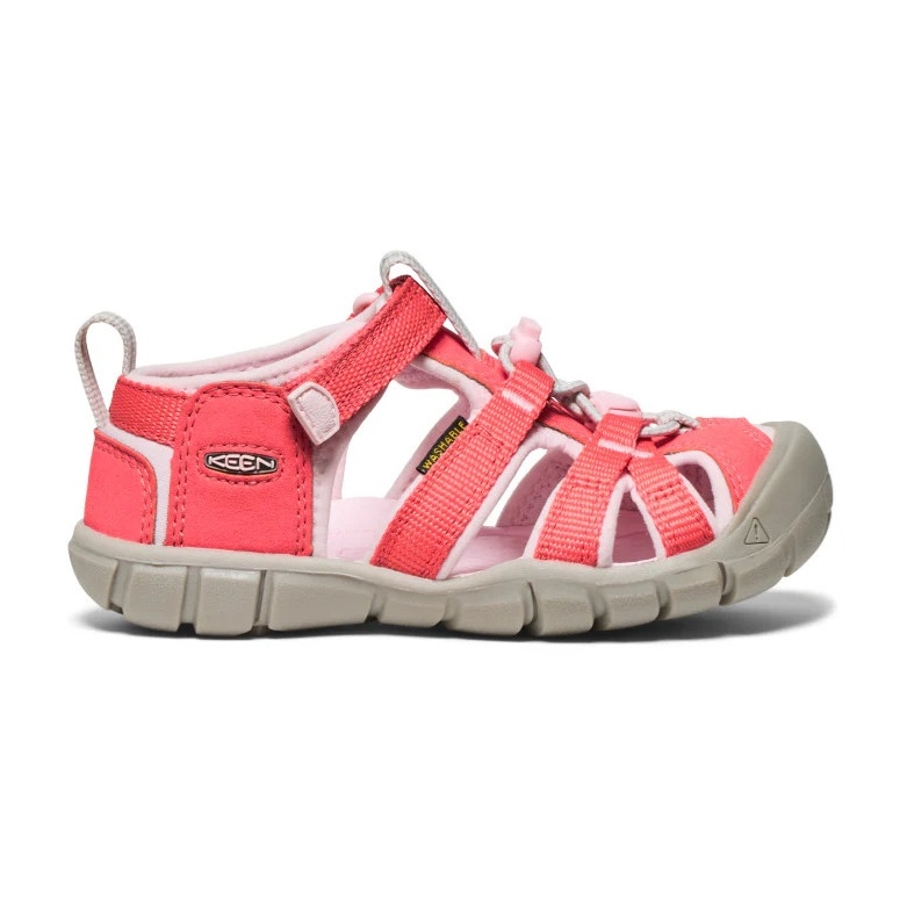 SEACAMP II CNX-C - Pink Photo