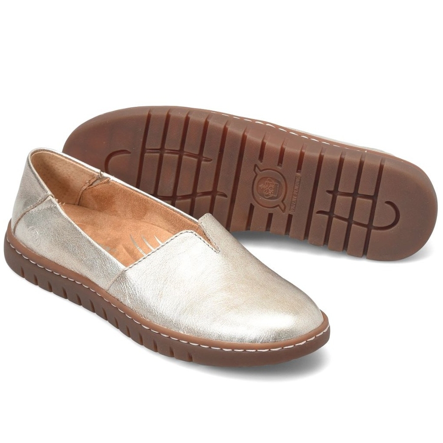 SEBRA II - TAN Photo