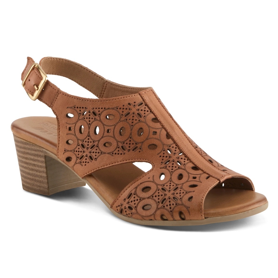 KOVACH - CAMEL Photo