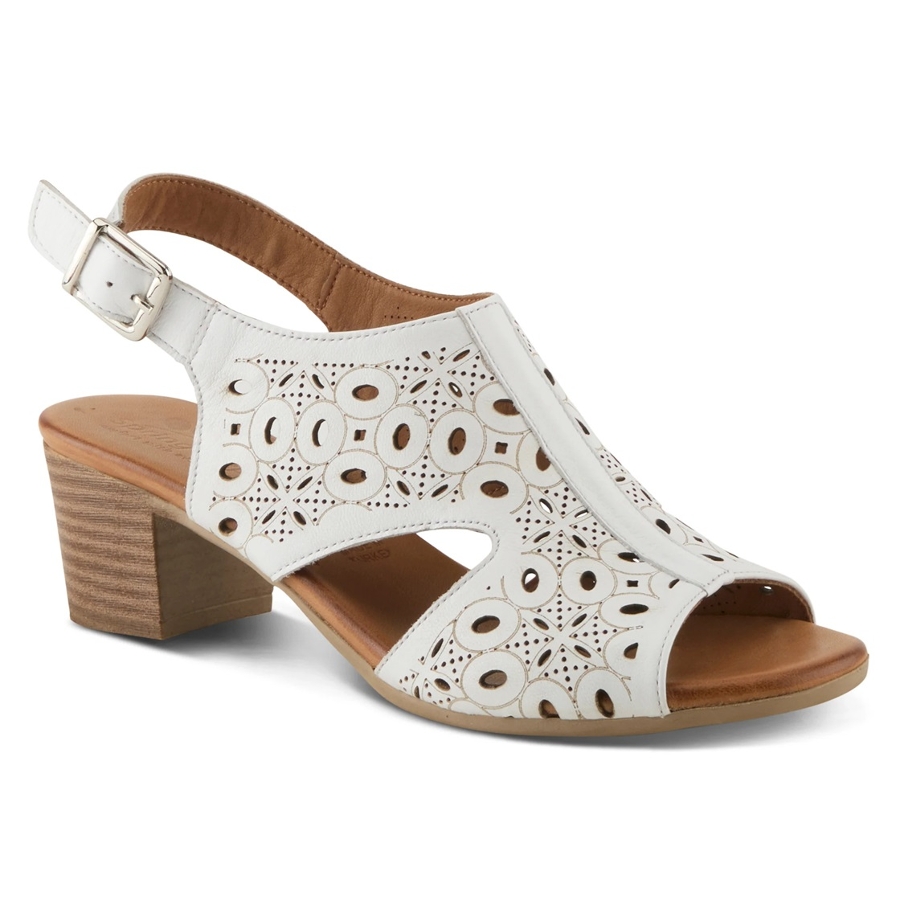 KOVACH - WHITE Photo