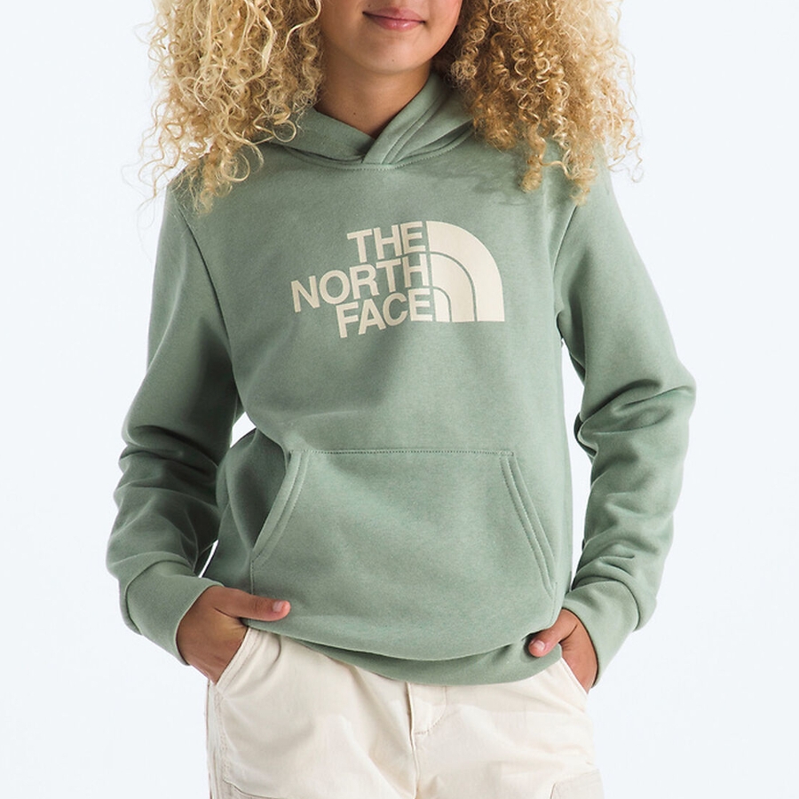 EVOLUTION HALF DOME PO HOODIE - MOSS Photo