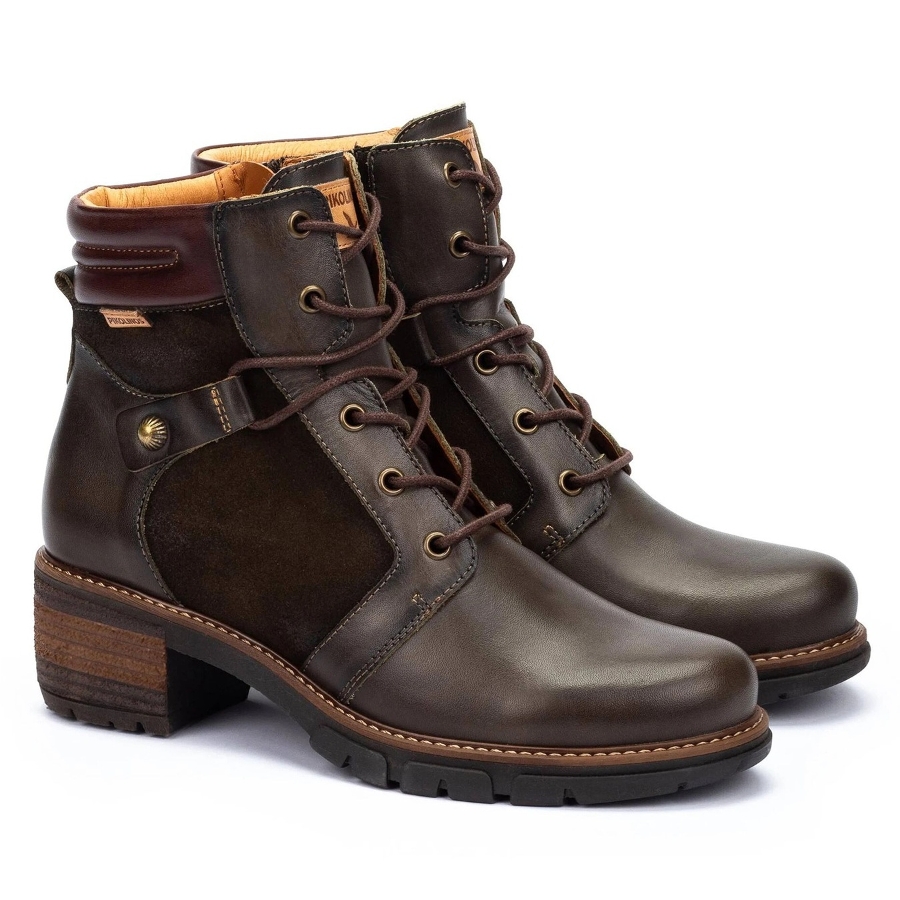 SAN SEBASTIA 8979C1 - FOREST Photo